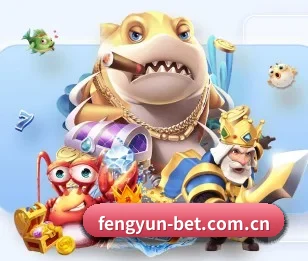 风云体育官网 APP 深度功能